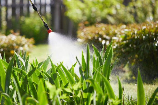 24/7 Emergency Wasp Removal experts in Albany, TX